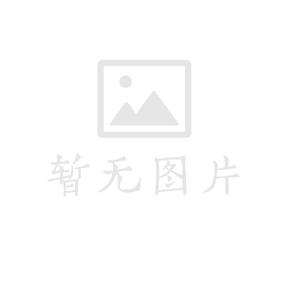 广东非公经济组织党建2017年工作